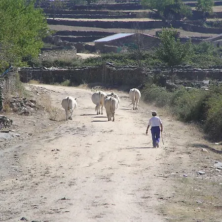 컨트리하우스 Casa Obdulia Vilvestre