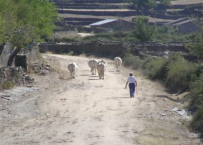 Landhuis Casa Obdulia Vilvestre